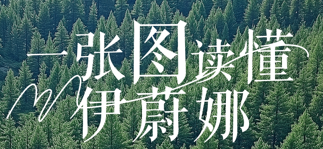 一张图读懂伊蔚娜？